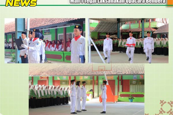 WhatsApp Image 2024-06-01 at 09.57.01