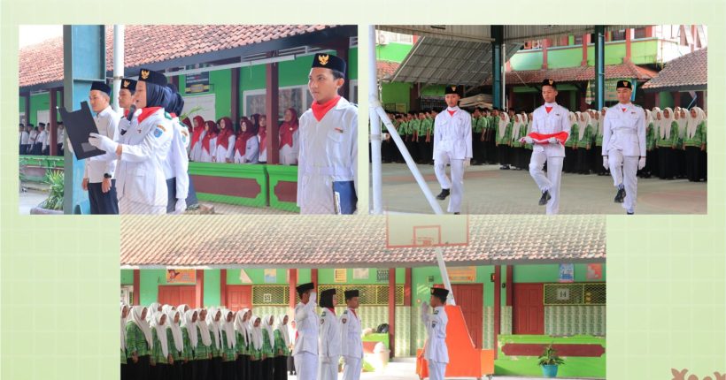 WhatsApp Image 2024-06-01 at 09.57.01